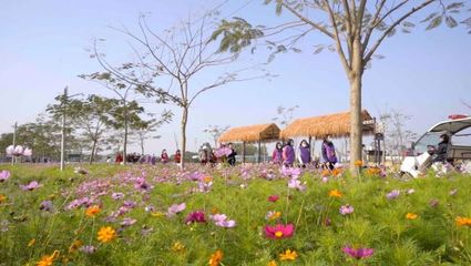 百花爭(zhēng)春！2023廣東省森林文化周春季活動(dòng)正式啟動(dòng)